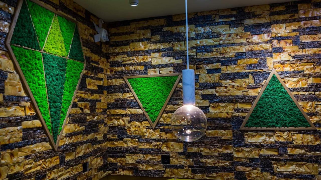 Cyborg Flat Petrosani Apartman Kültér fotó